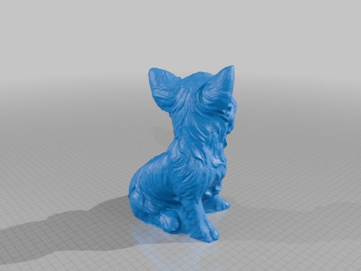 Escaneamento da Estatua de Yorkie