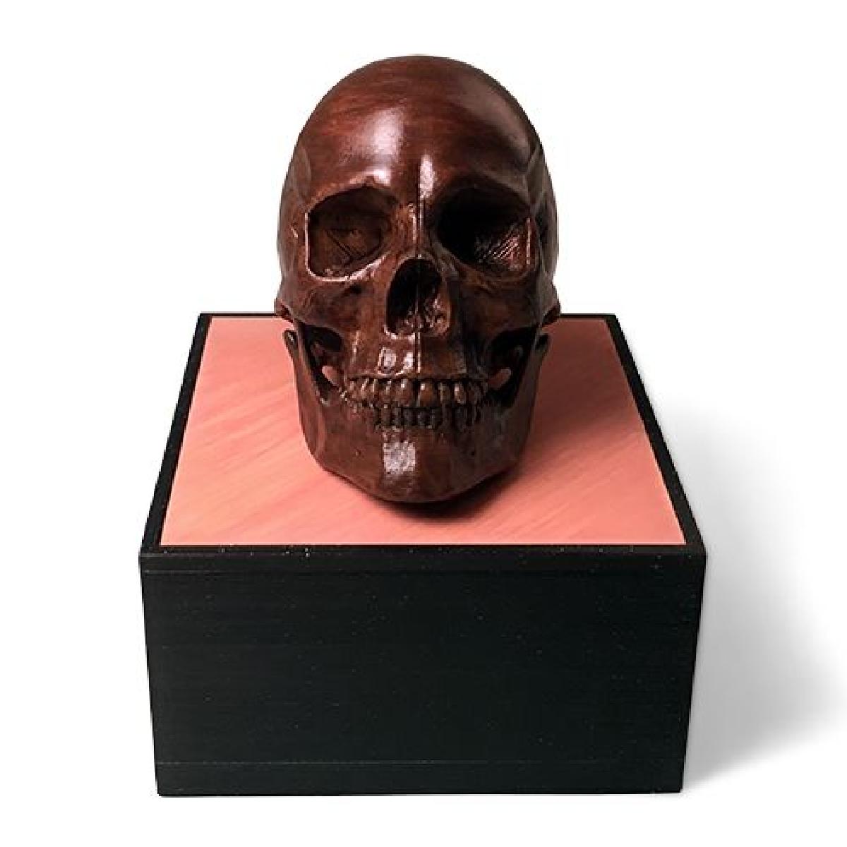 Craneo Humano Masculino Anatomico (atualizado em 07/11/2020)