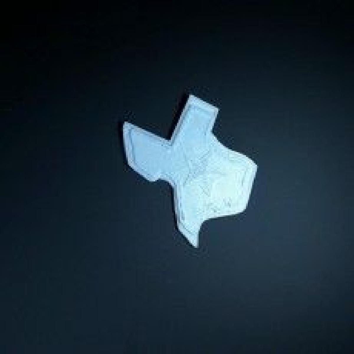 Chip do Texas