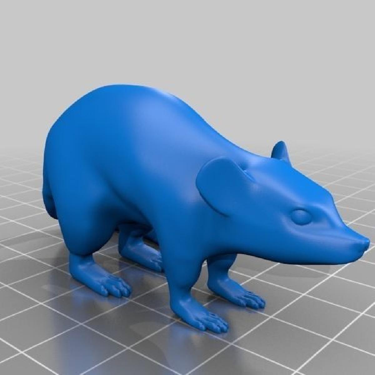 Dados 3D do rato.