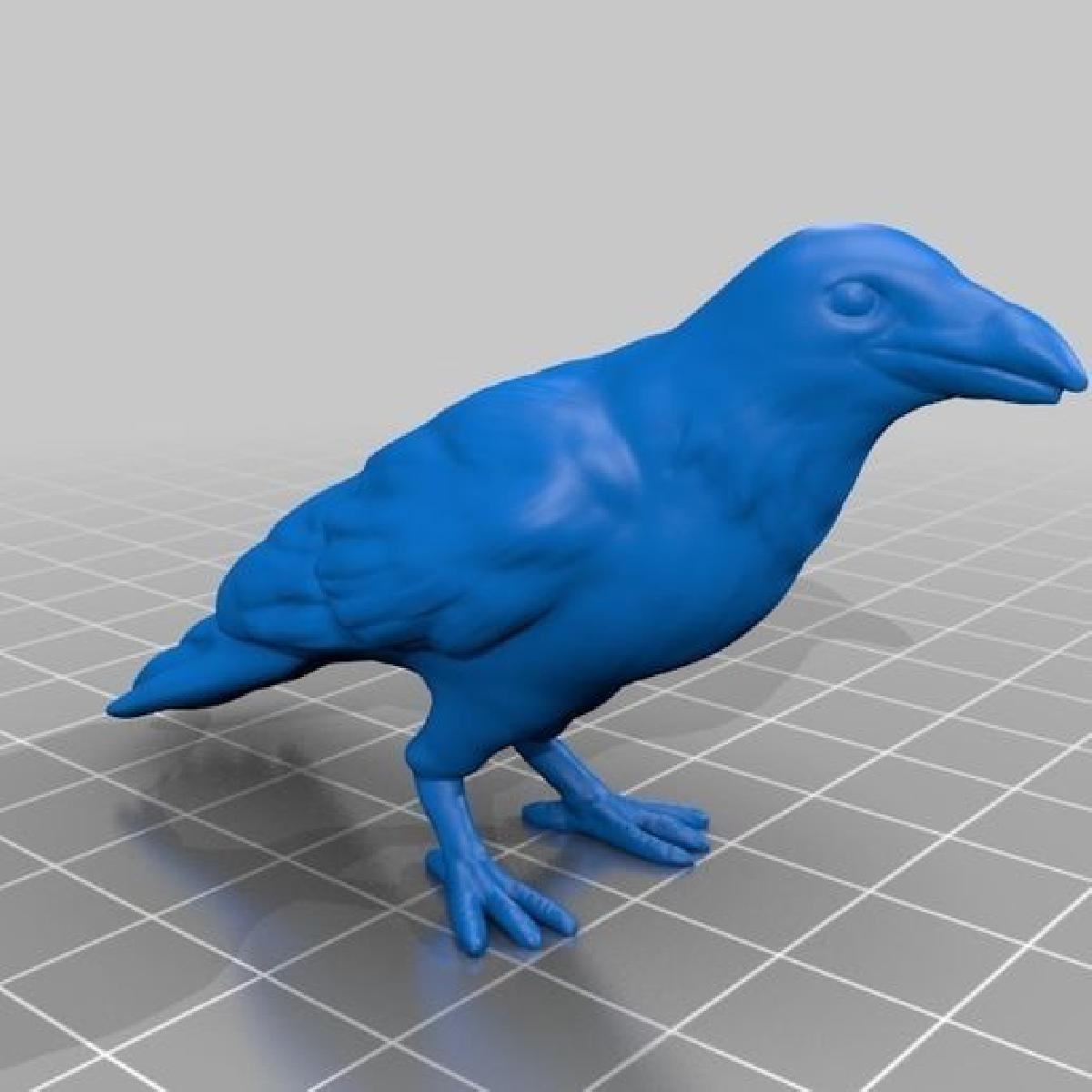 Dados 3D do Corvo