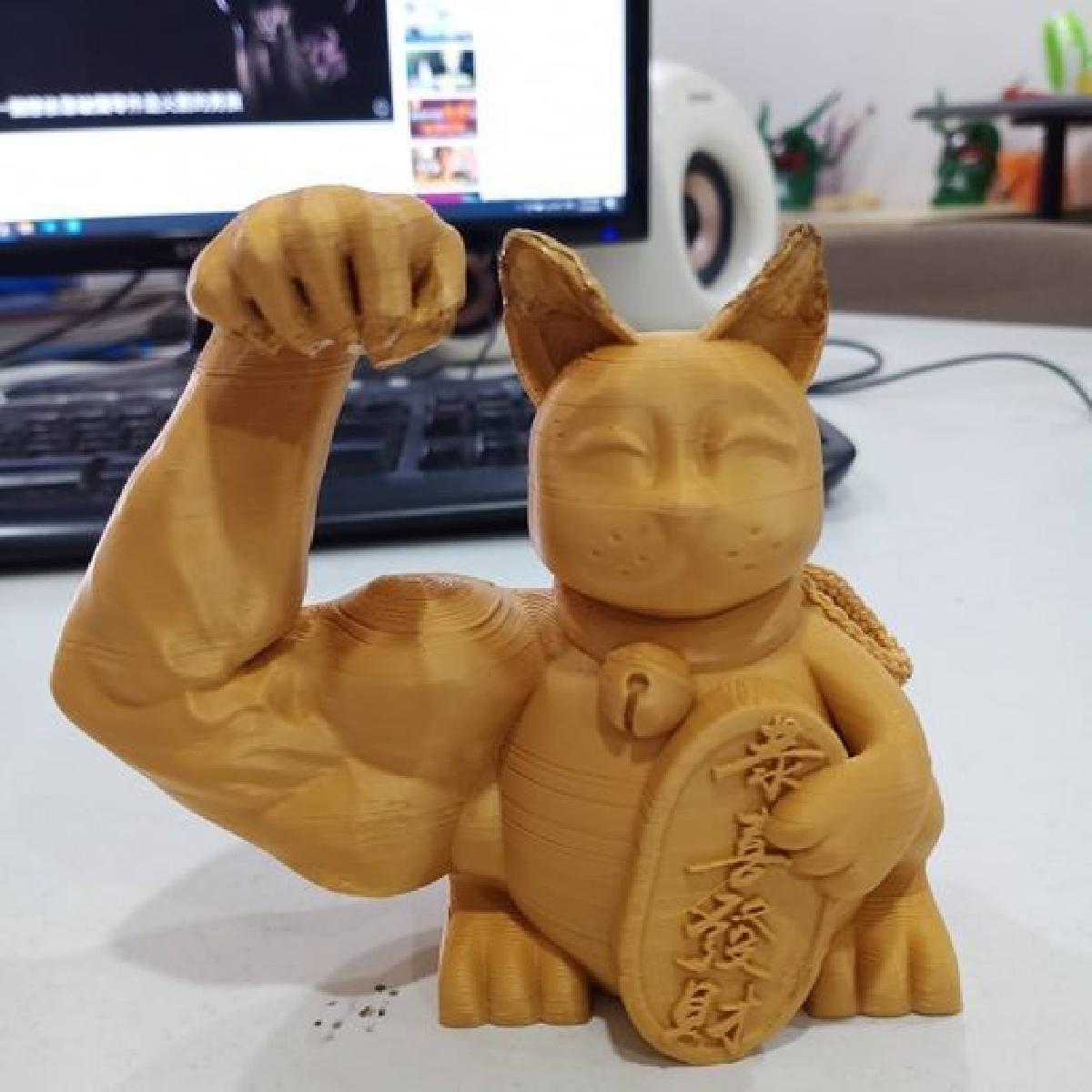 Gato Maneki Neko Forte