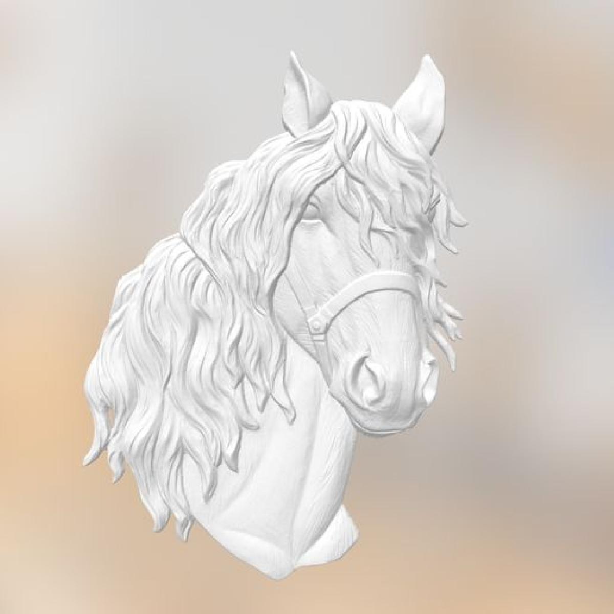 Cabeca de cavalo