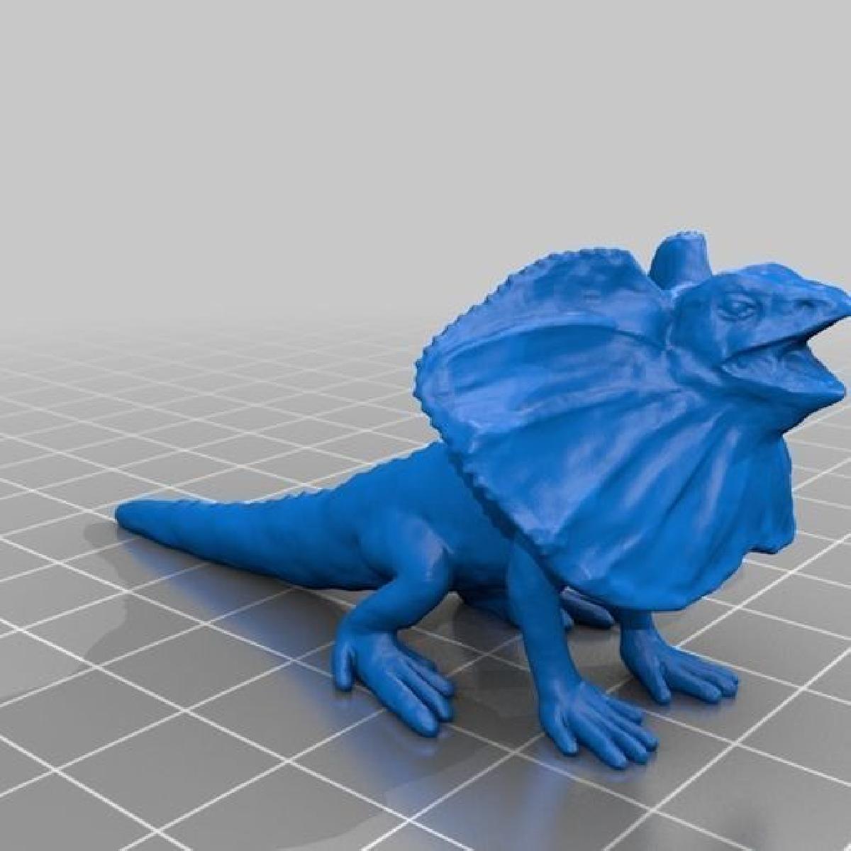 Lizard com gola (Frilled lizard) dados 3D