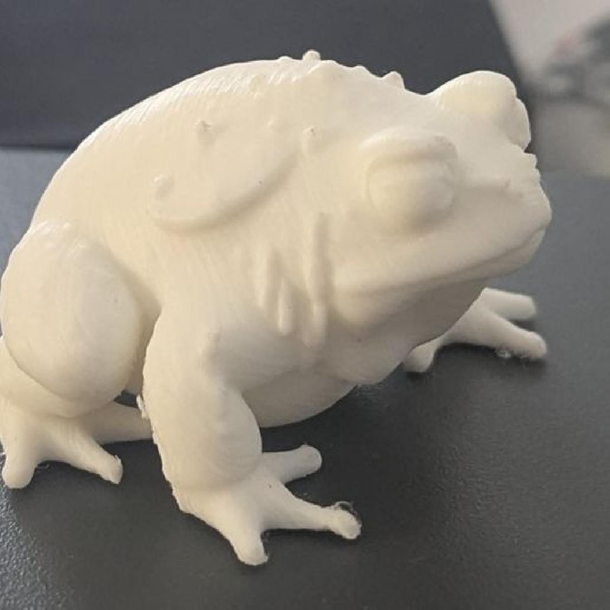 Colecao de Sapos Gigantes (DND/TTRPG)