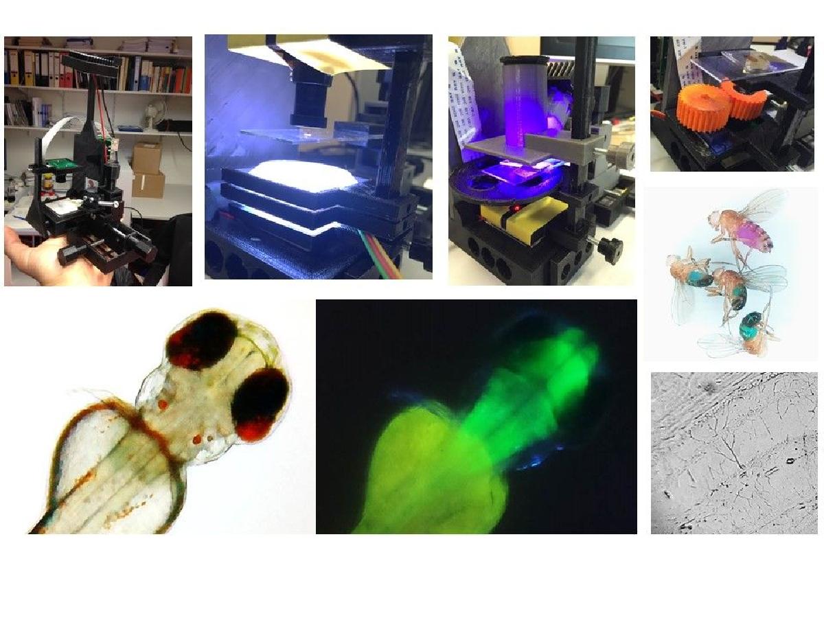 O laboratorio de 100 $: Microscopio de fluorescencia e rastreador comportamental para optogenetica.