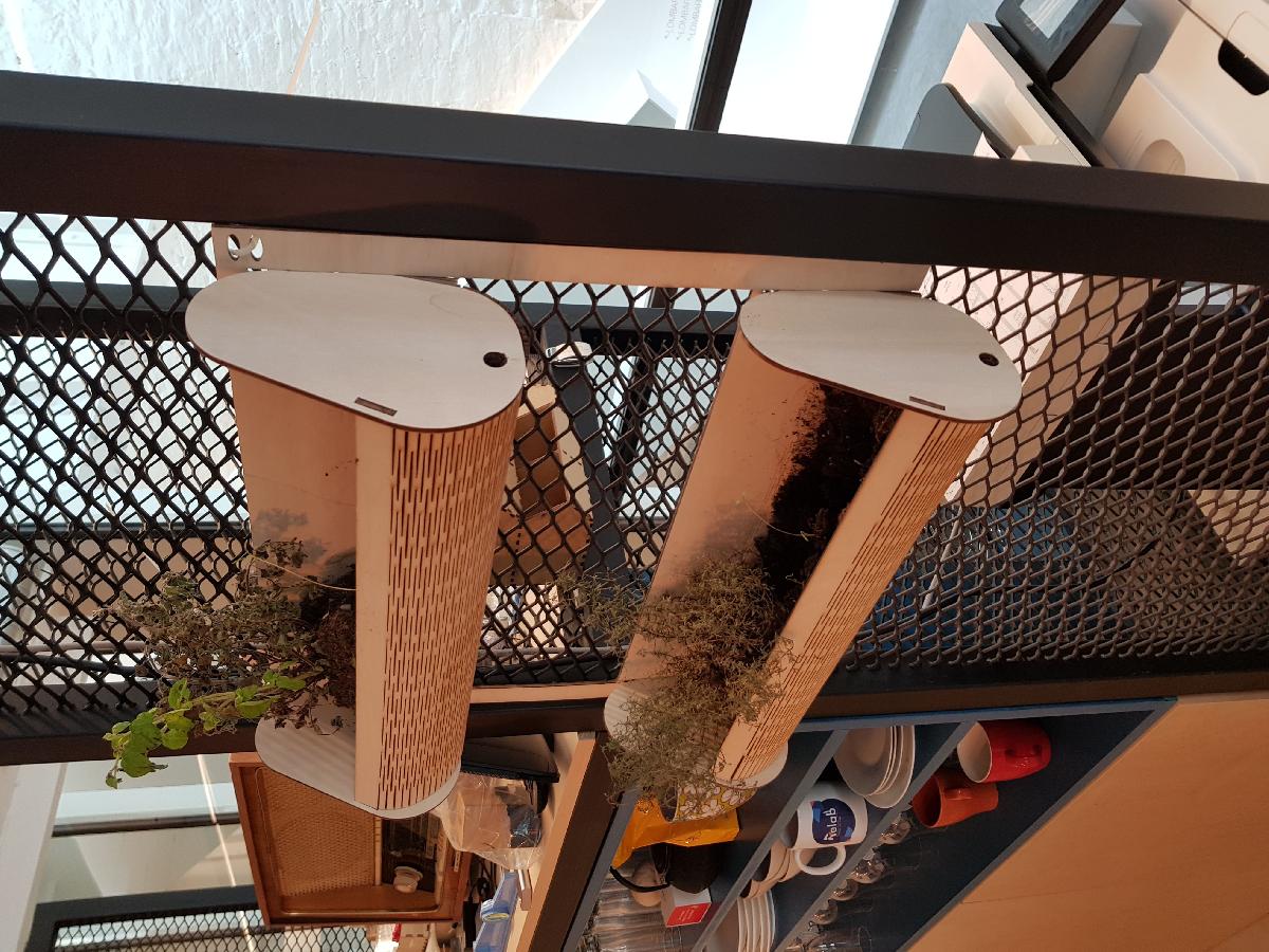 Jardim Suspenso / Jardim Vertical