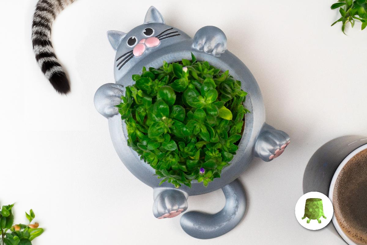 Vaso de Planta Gordo para Gato