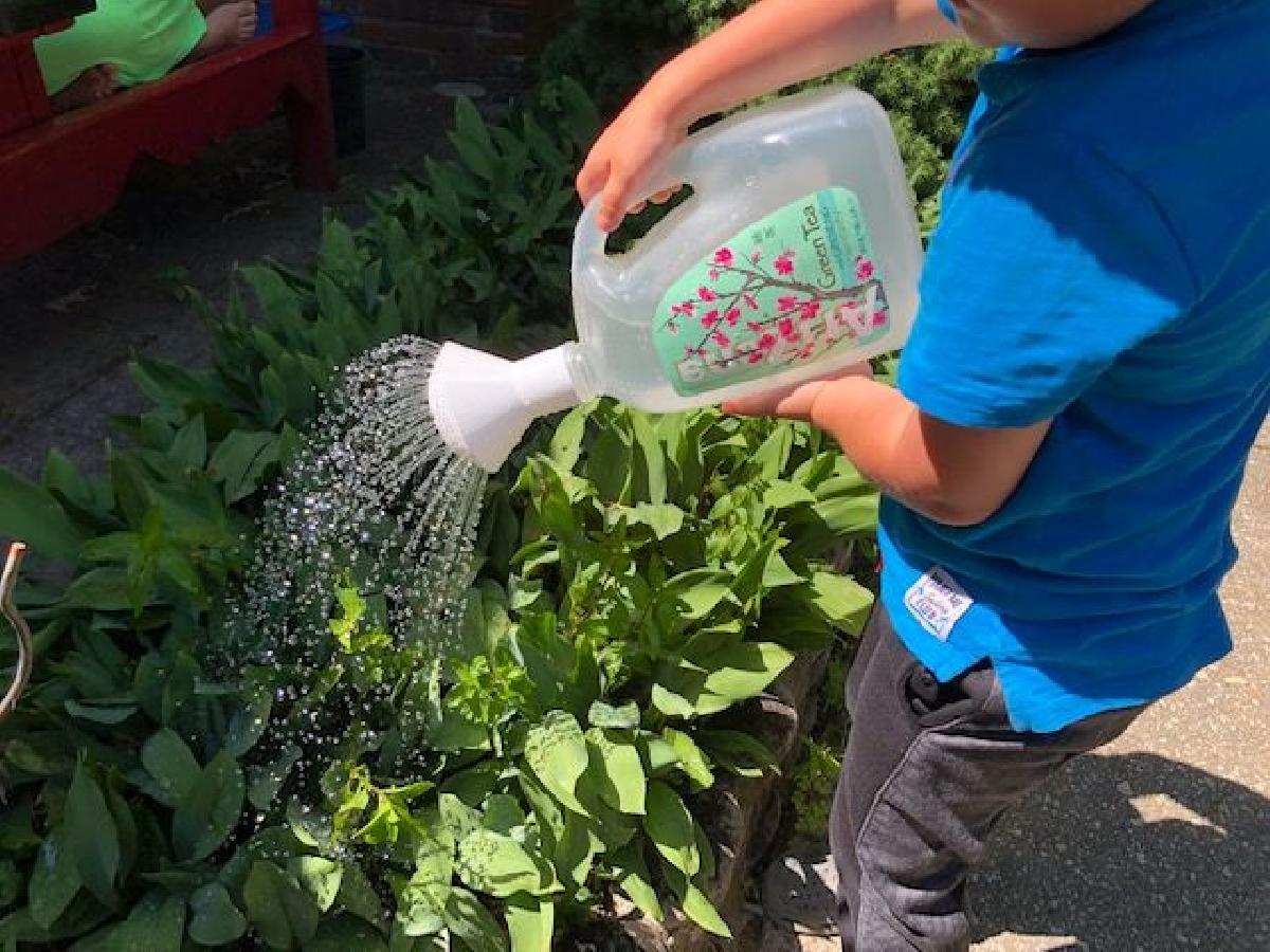 Regador da jarra de cha Arizon.