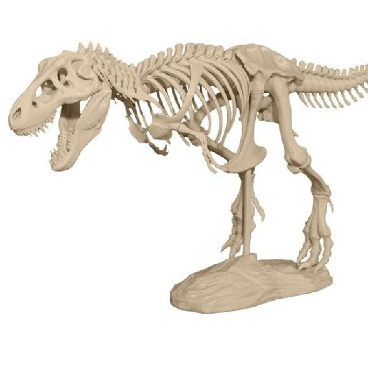 Esqueleto T Rex
