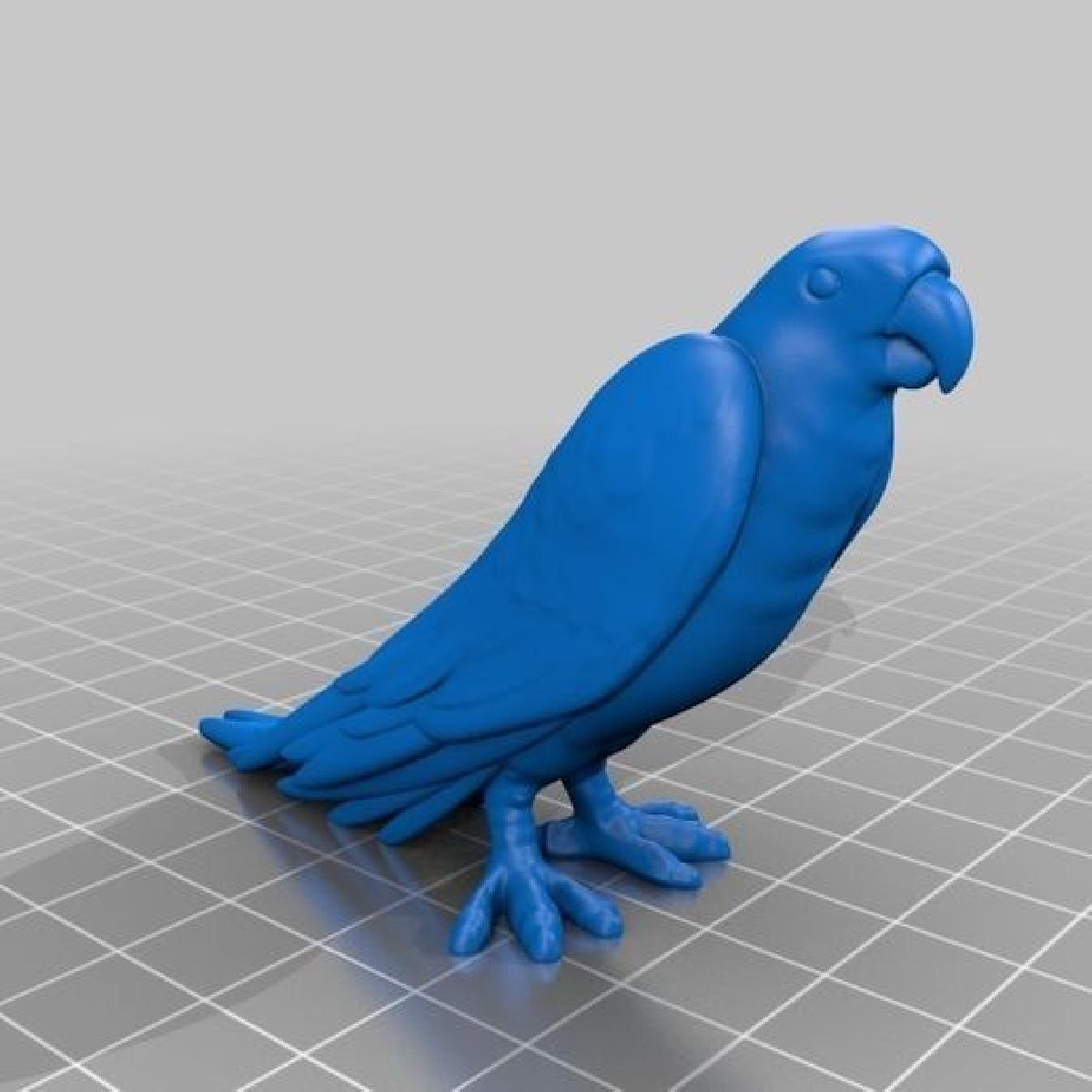 Dados 3D de papagaio