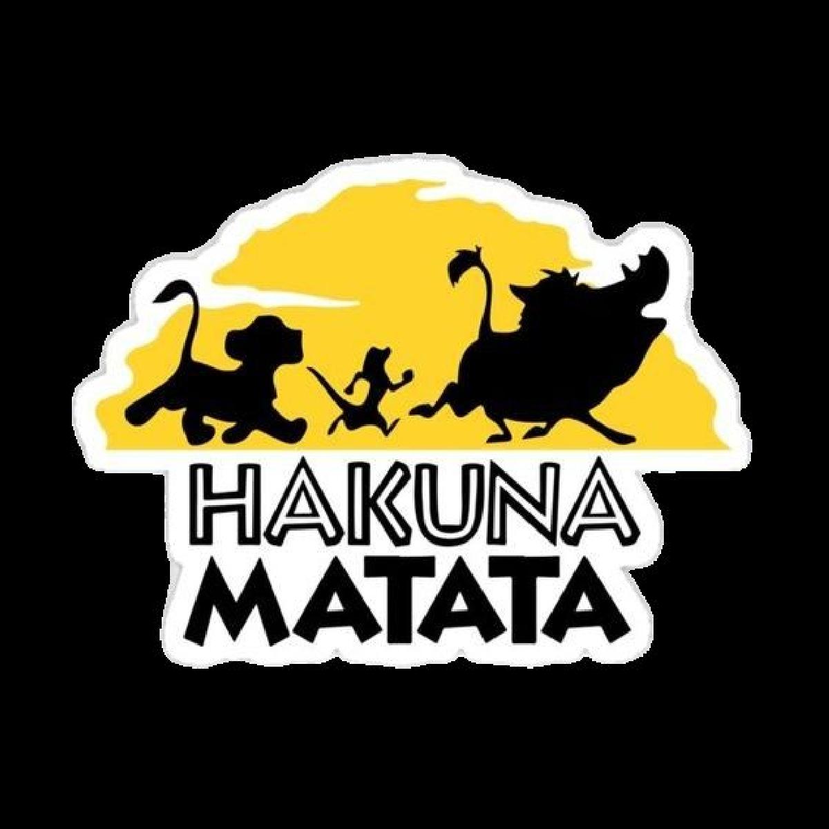 Porta Chaves Rei Leao   Chaveiro Rei Leao