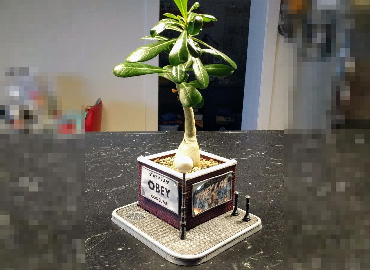 Plantador Diorama Brickwall