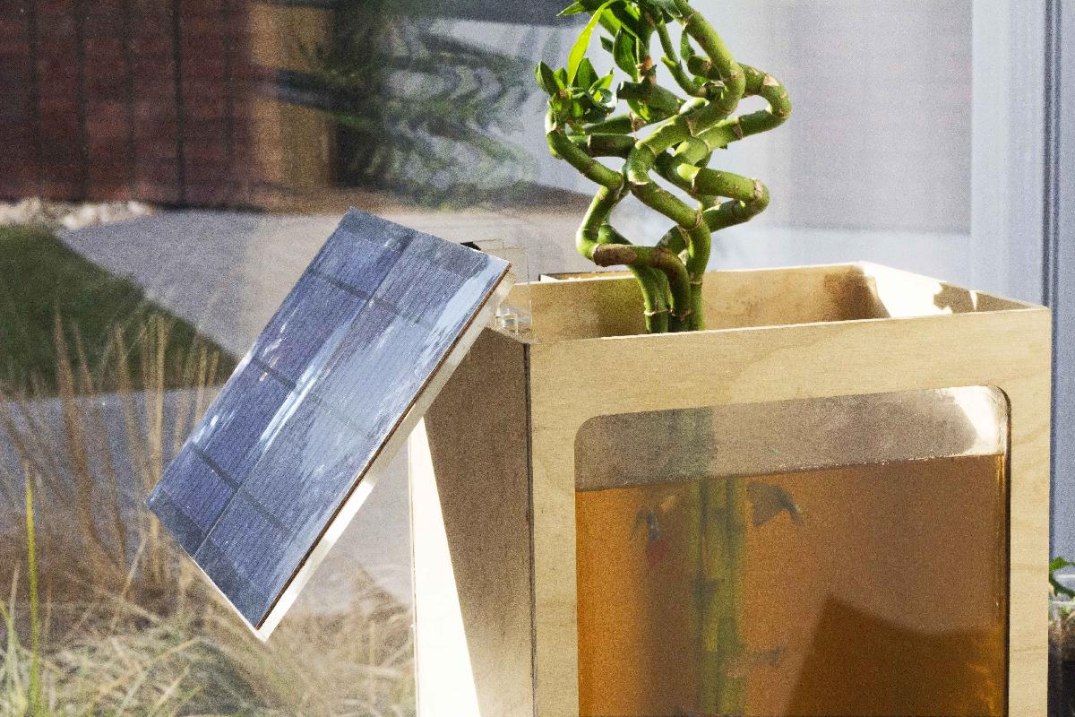 Sistema solar hidroponico