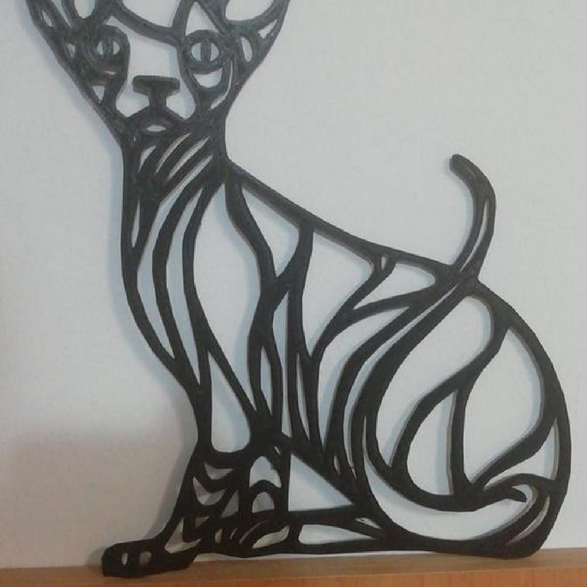 imagem de gato Sphynx