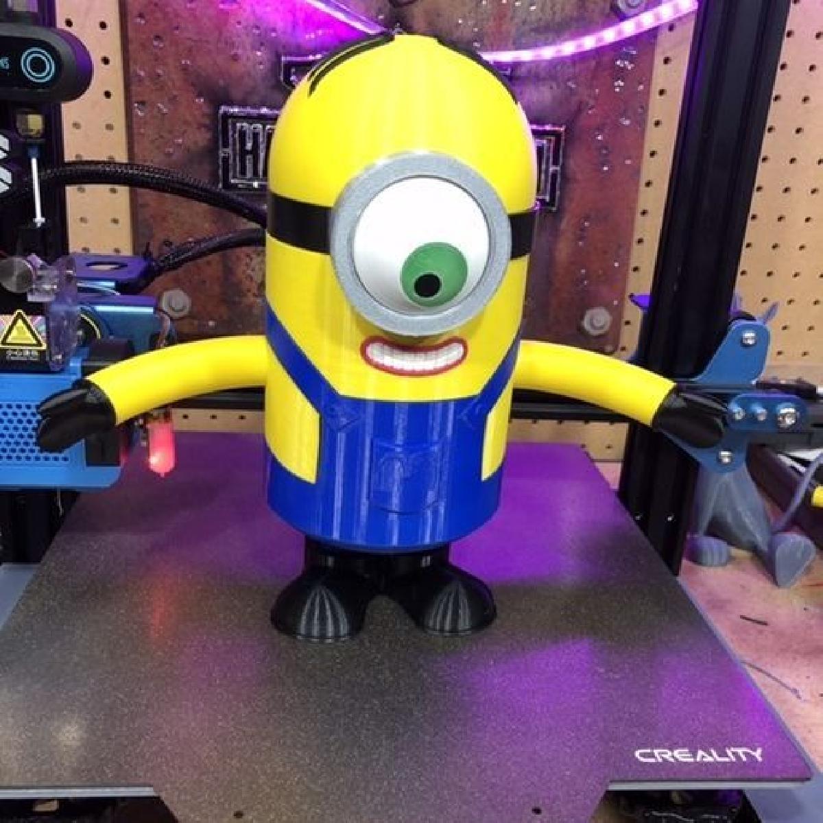 Minion Stuart Multi Cor