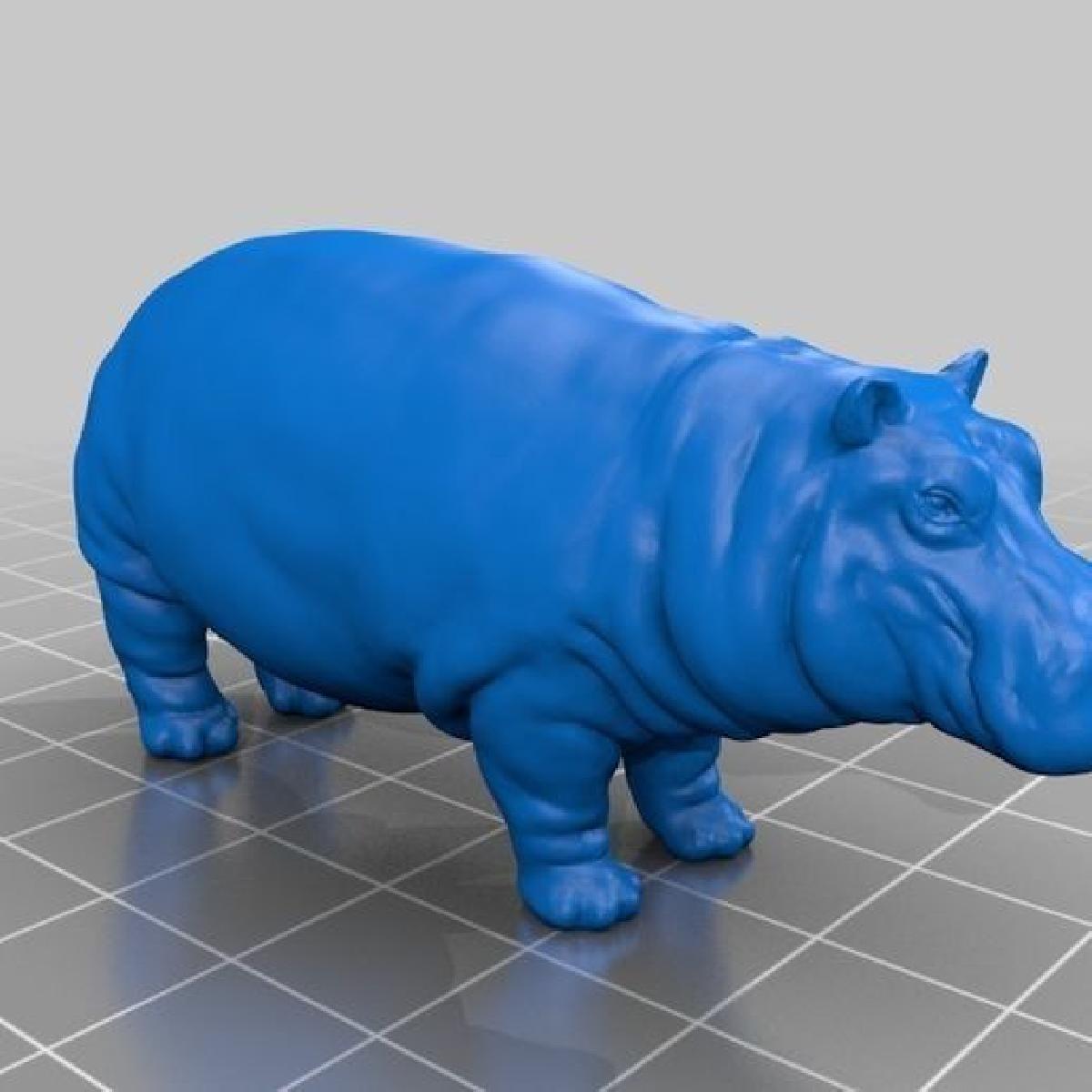 Dados 3D do hipopotamo