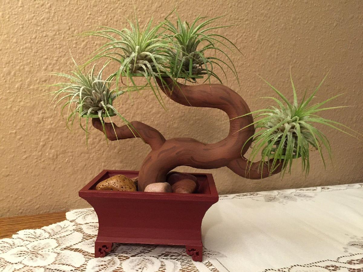 Arvore de Bonsai e Pote