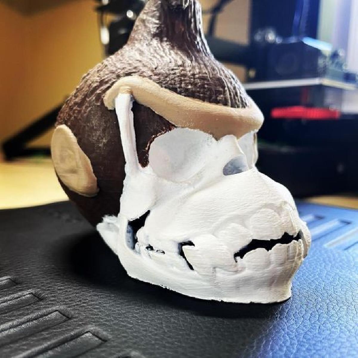 Cranio de Donkey Kong