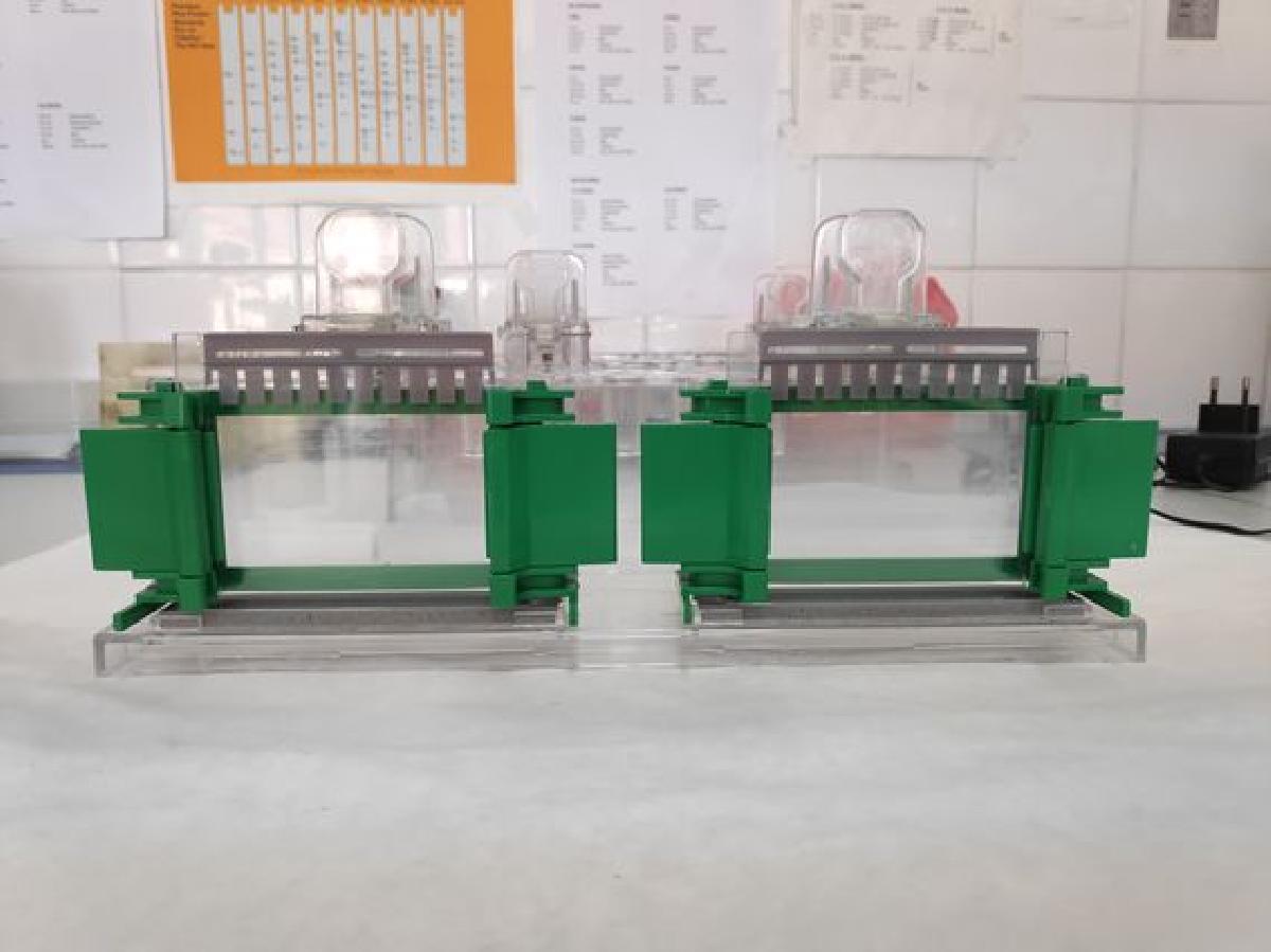 Camas Bio Rad Mini Protean