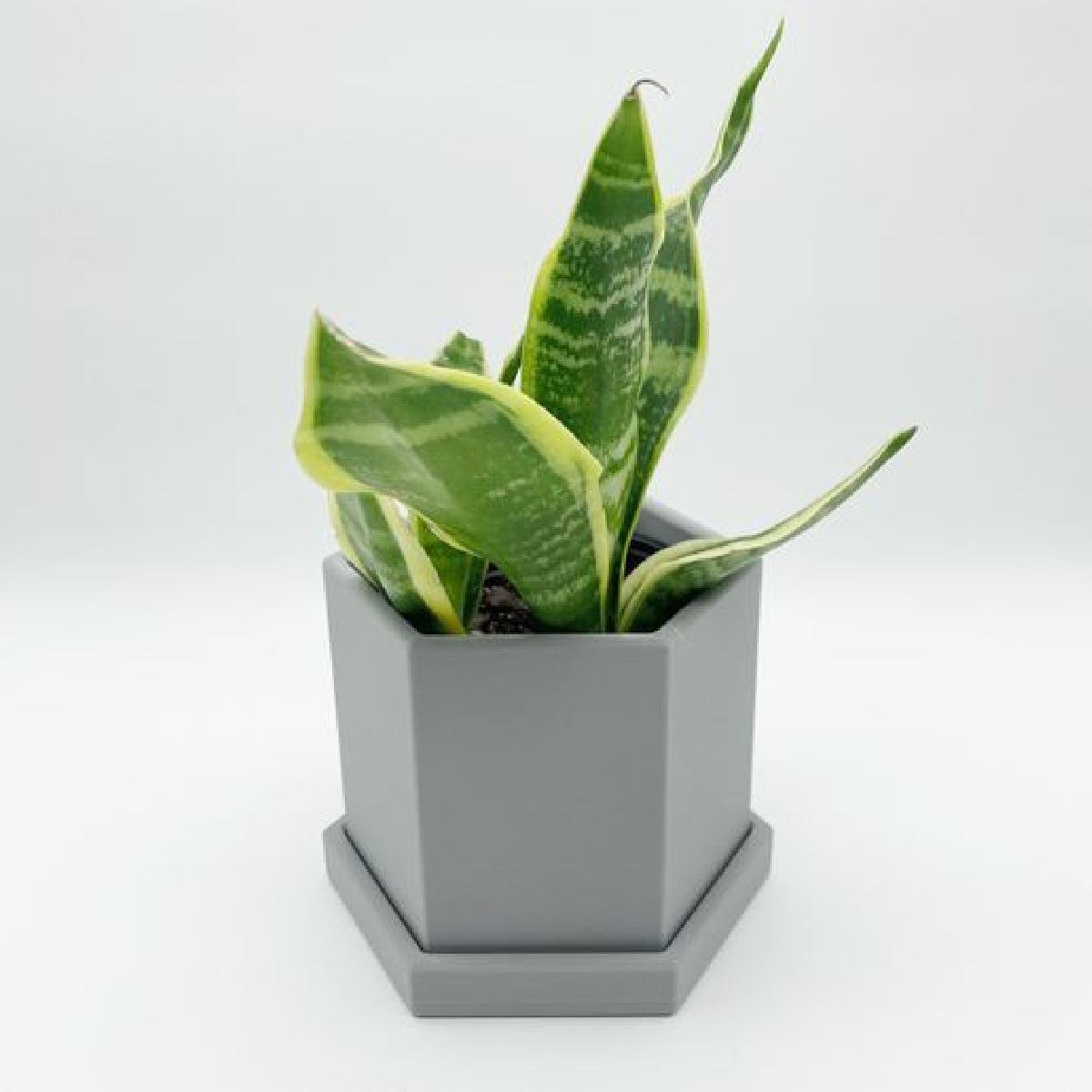 Vaso de Planta Hexagonal