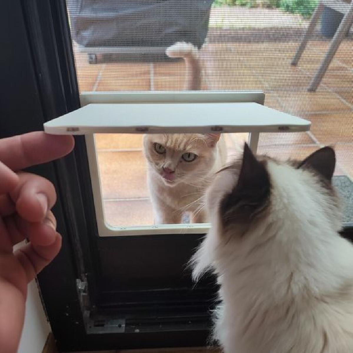 Porta de gato para tela de mosquitos com imas