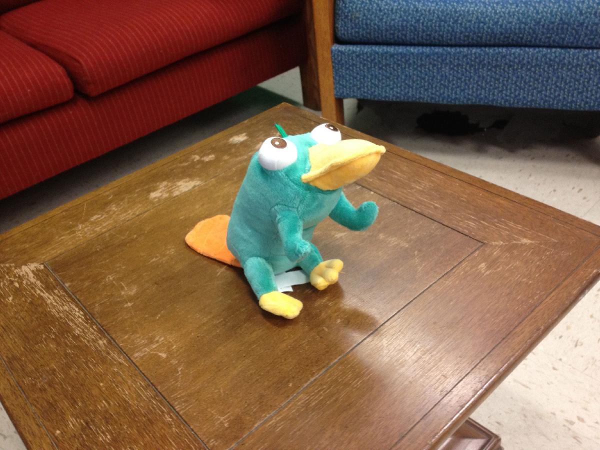 Perry, o Ornitorrinco