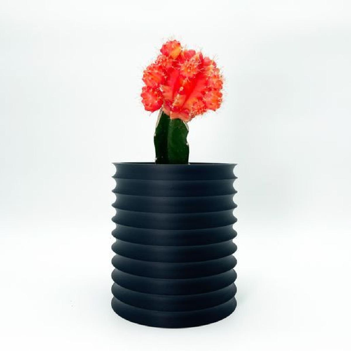 Vaso de Planta Canelado