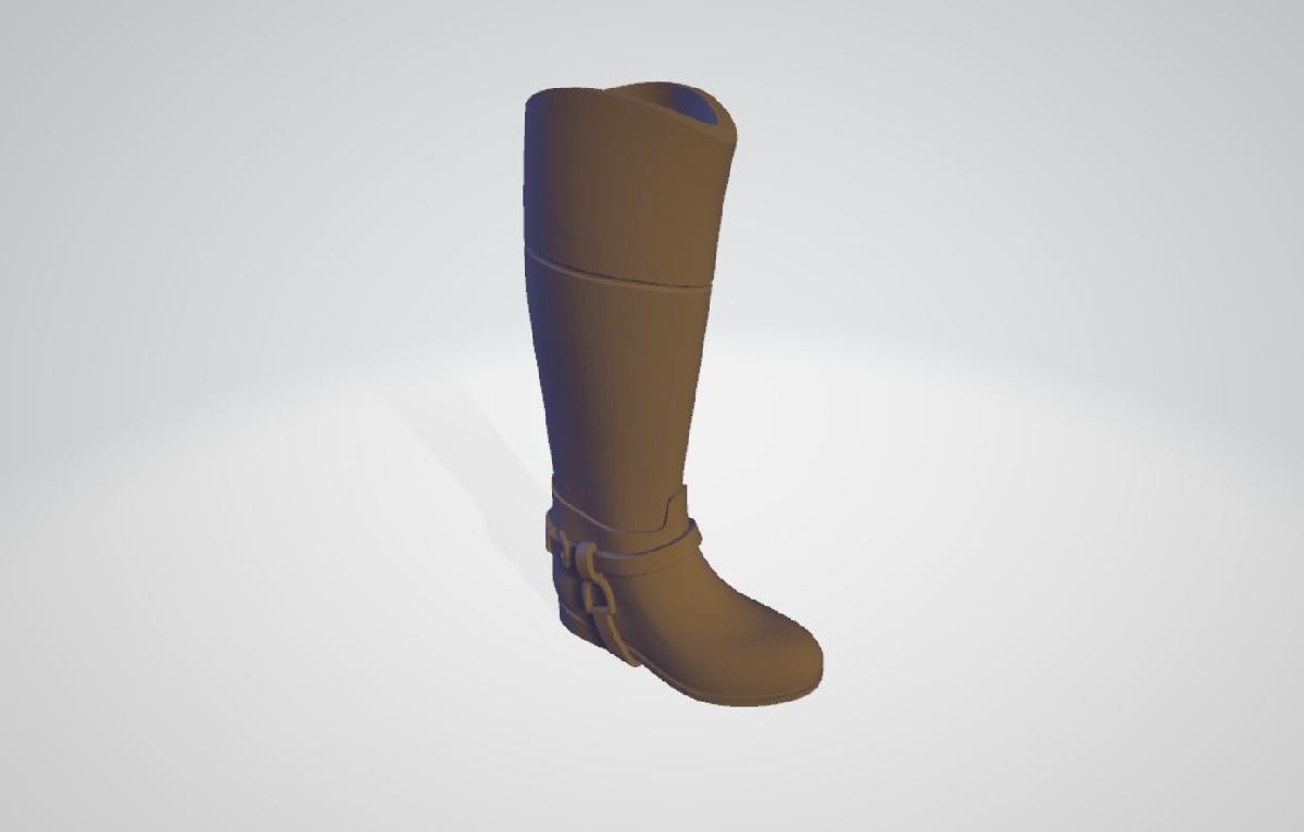Bota de charro.