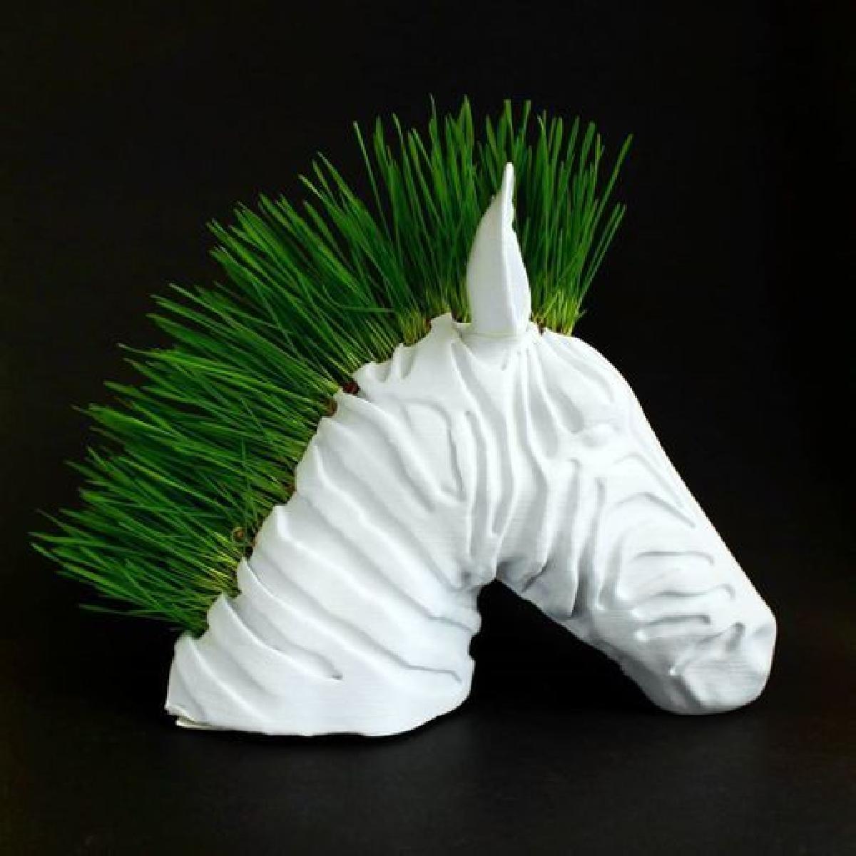 Plantador de Zebra