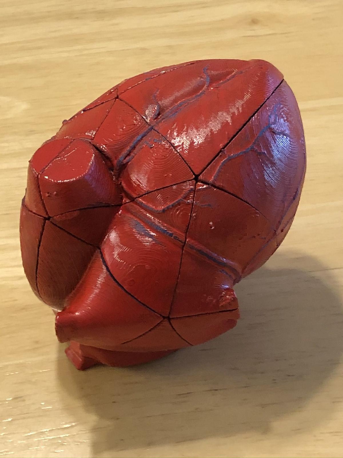 Quebra cabeca do Coracao Anatomico