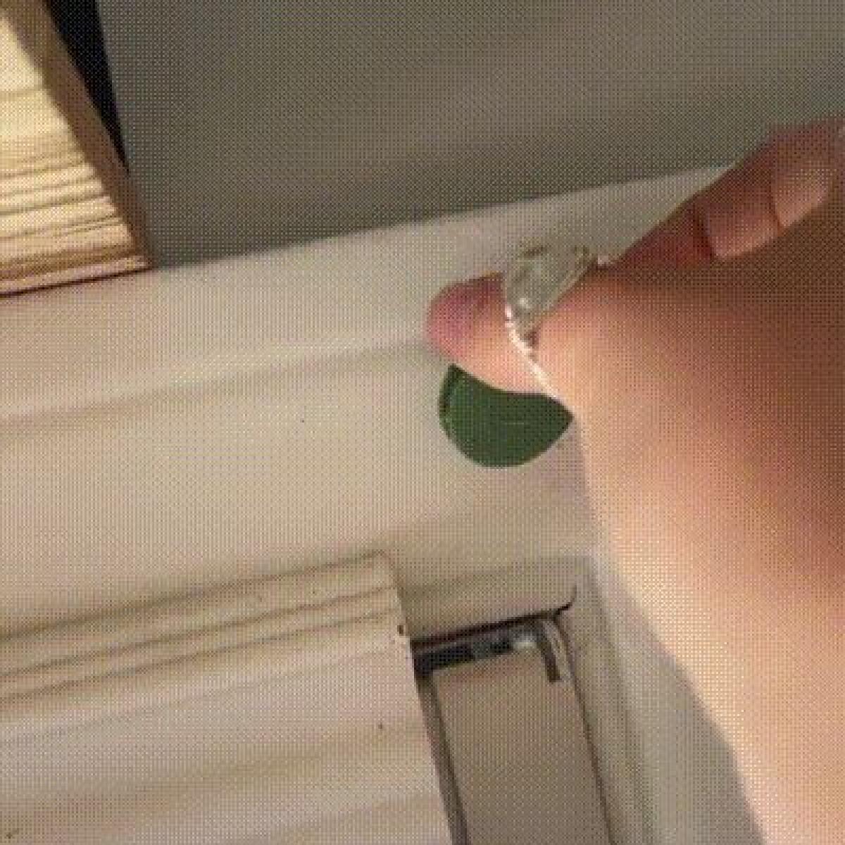 DECORACAO COM PLANTAS