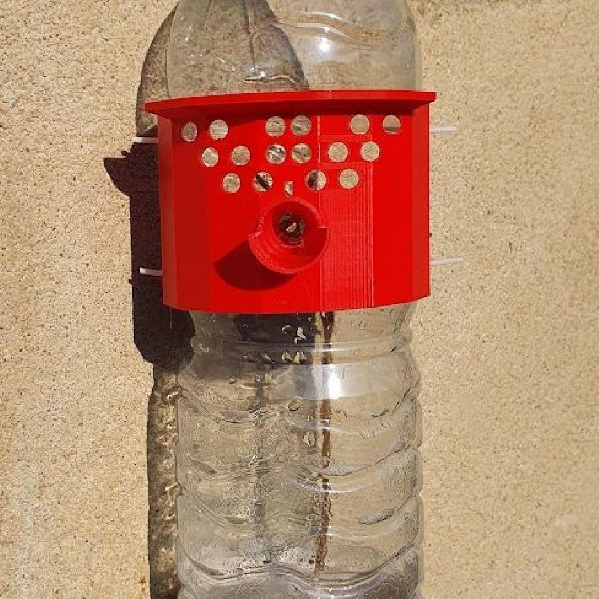 Armadilha seletiva para vespa asiatica