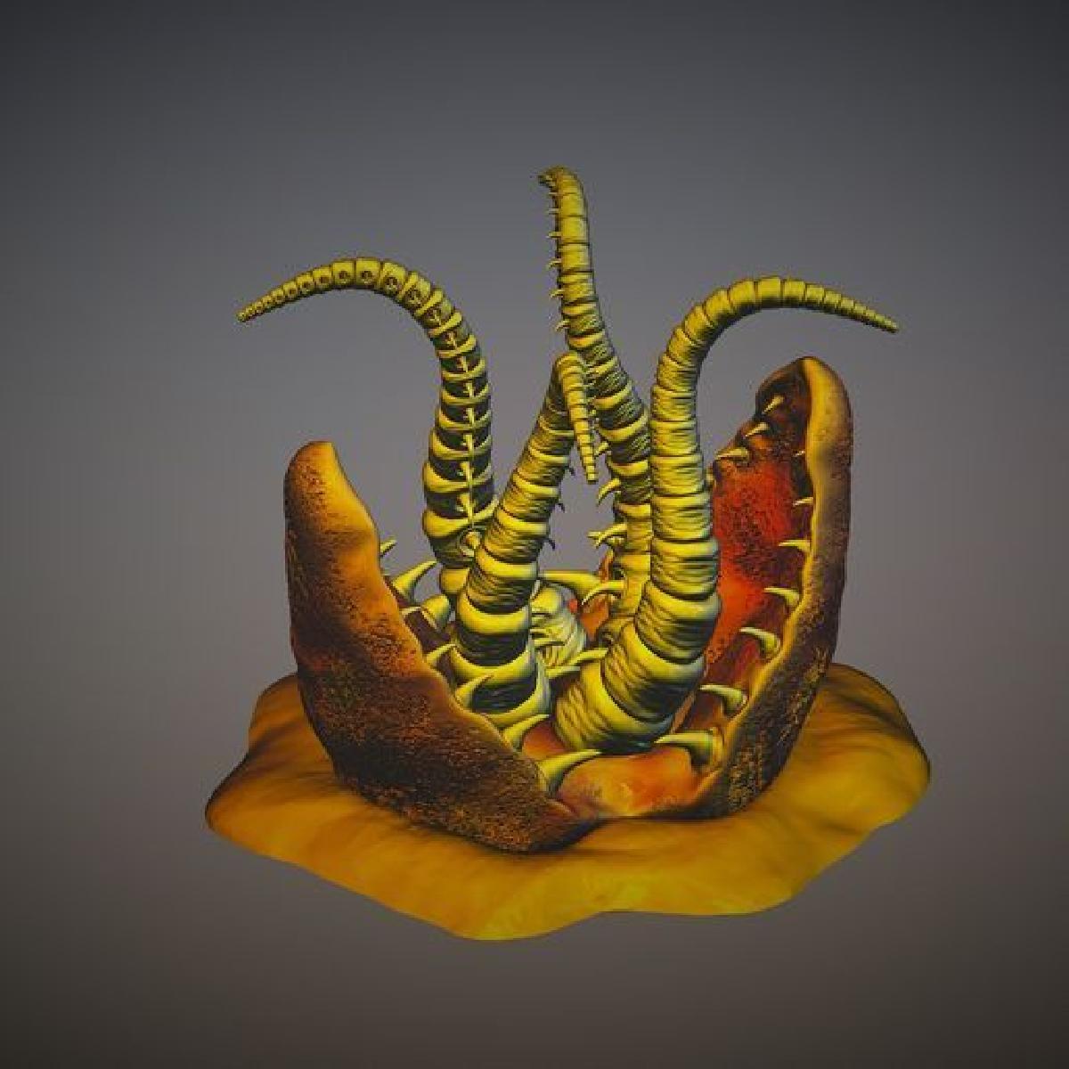 Worm de areia