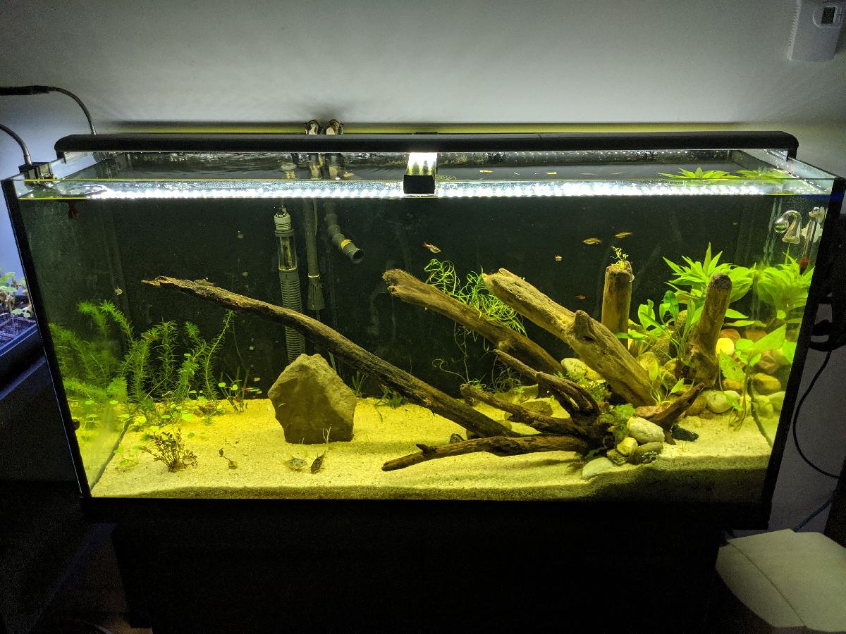 Luz LED para aquario