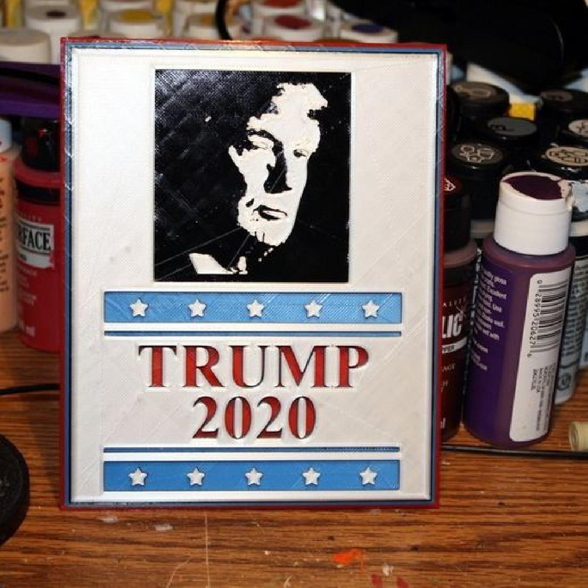 Poster da Eleicao de Trump 2020