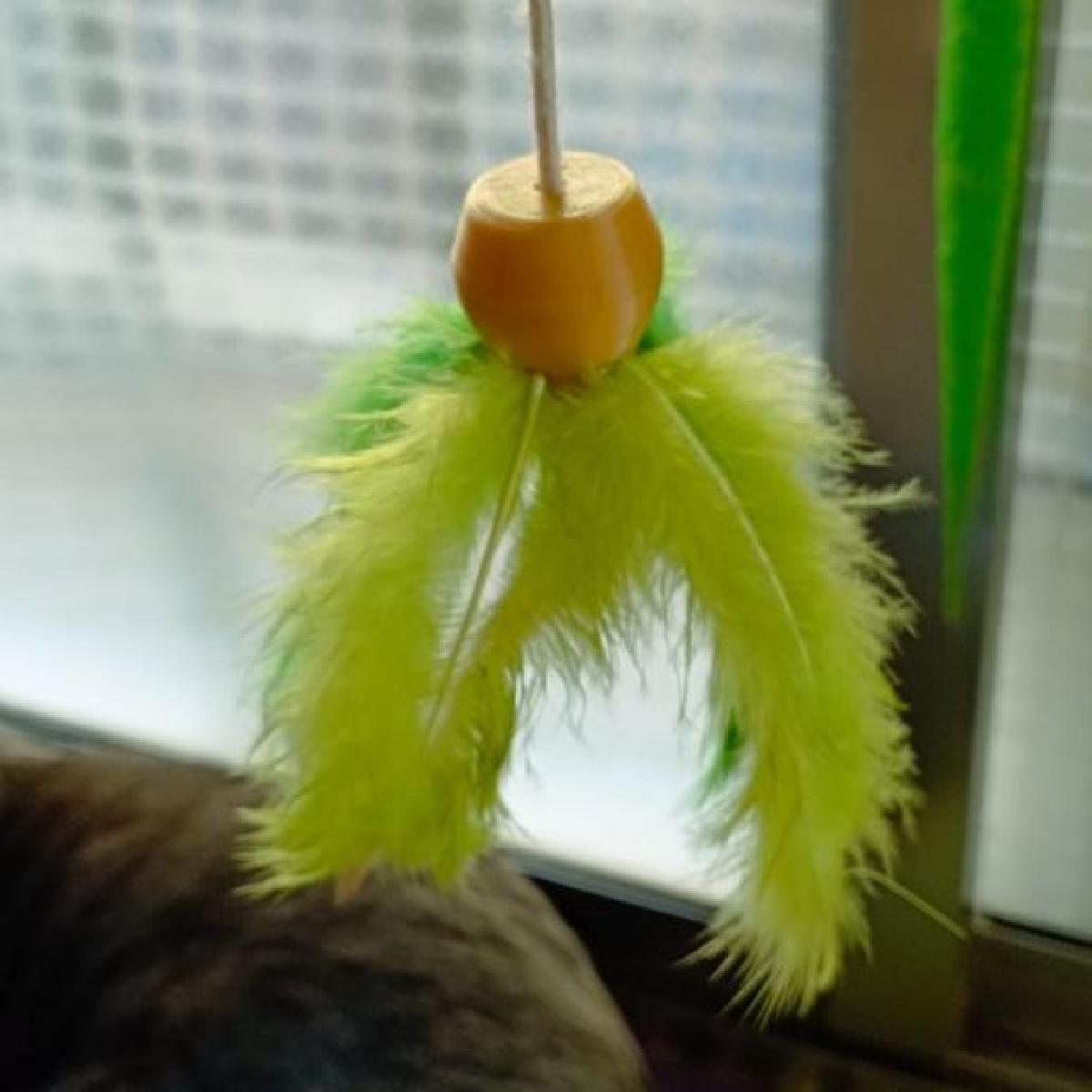 Brinquedo de penas para gatos! 😺