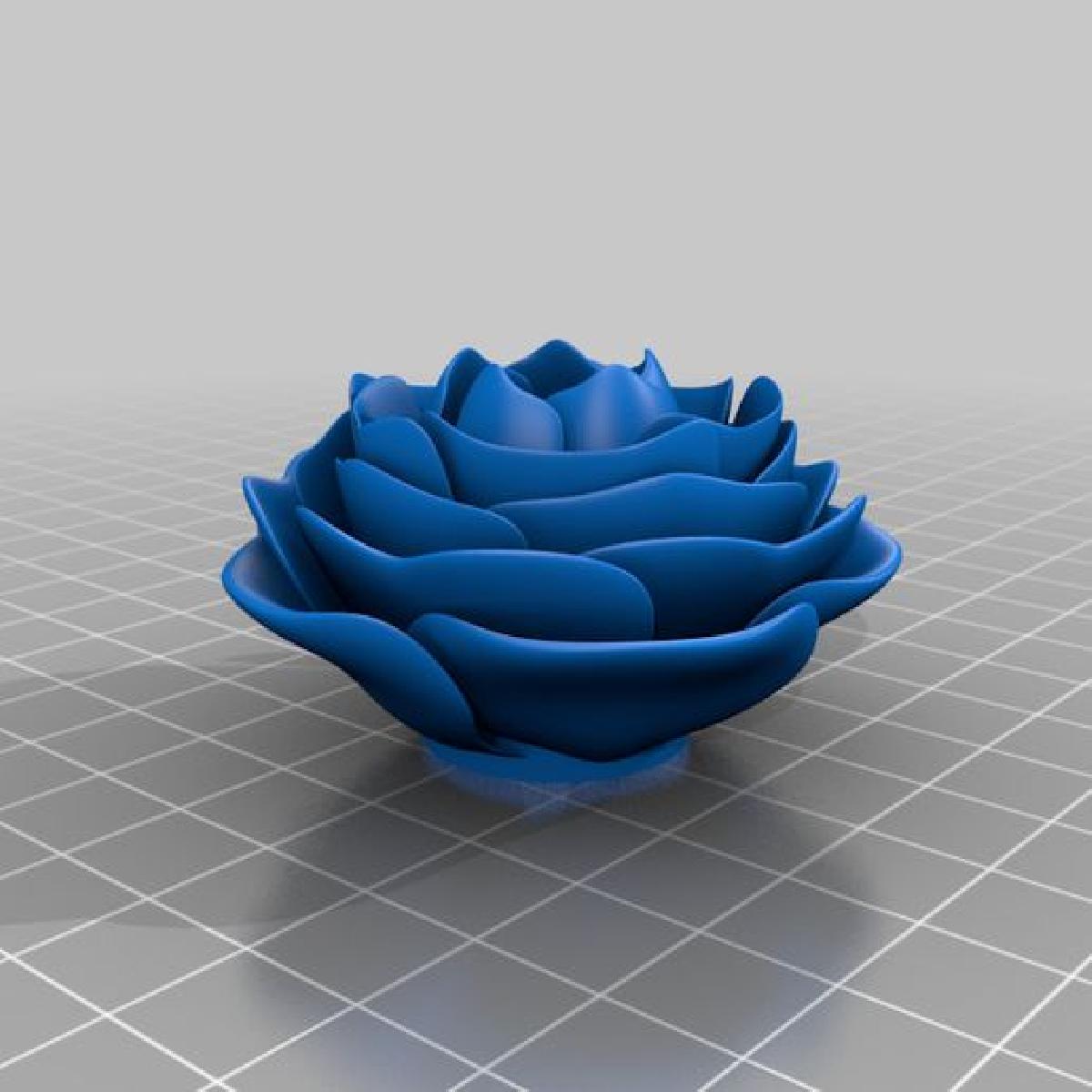 rosa