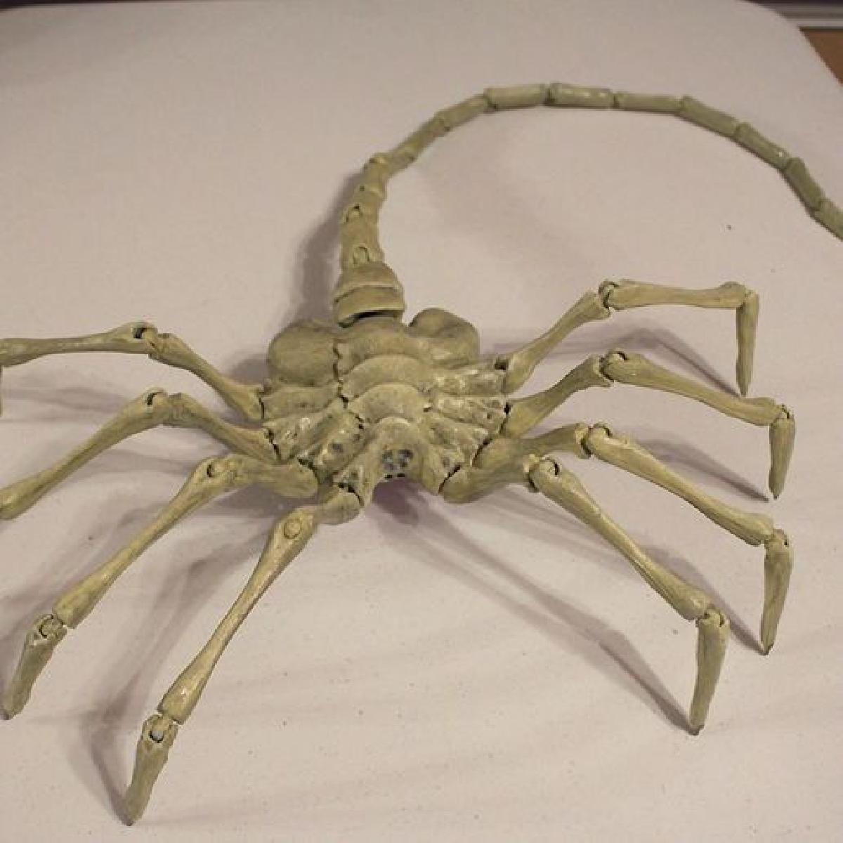 Agisis Ultimate Alien Face Hugger (40in x 23in   TAMANHO NATURAL!)