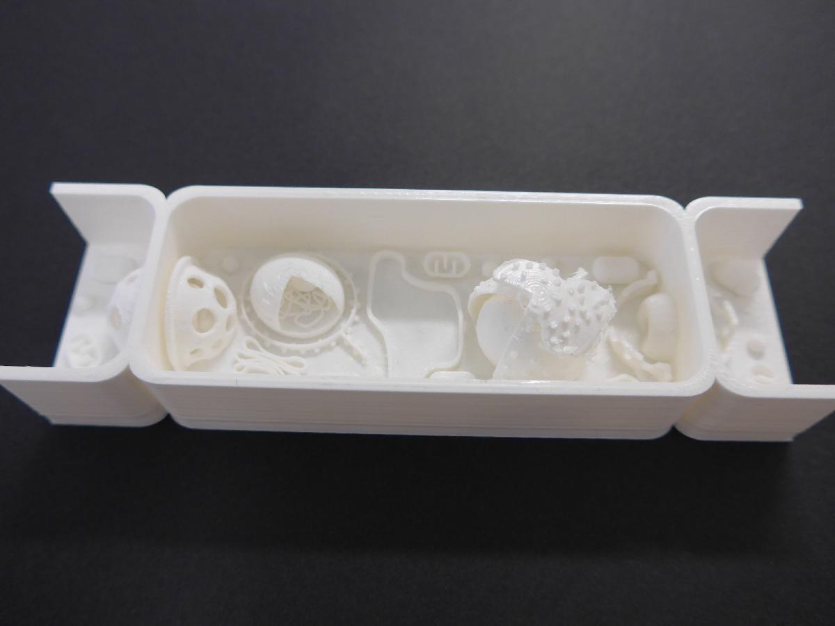 Cellule de champignon   celula de cogumelo