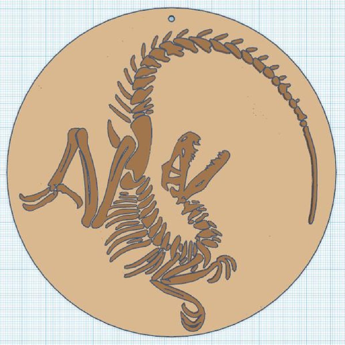 Fossil de Velociraptor