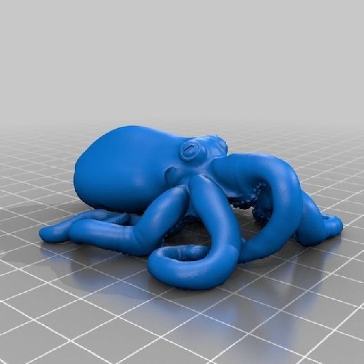 Dados 3D de polvo (Octopus)