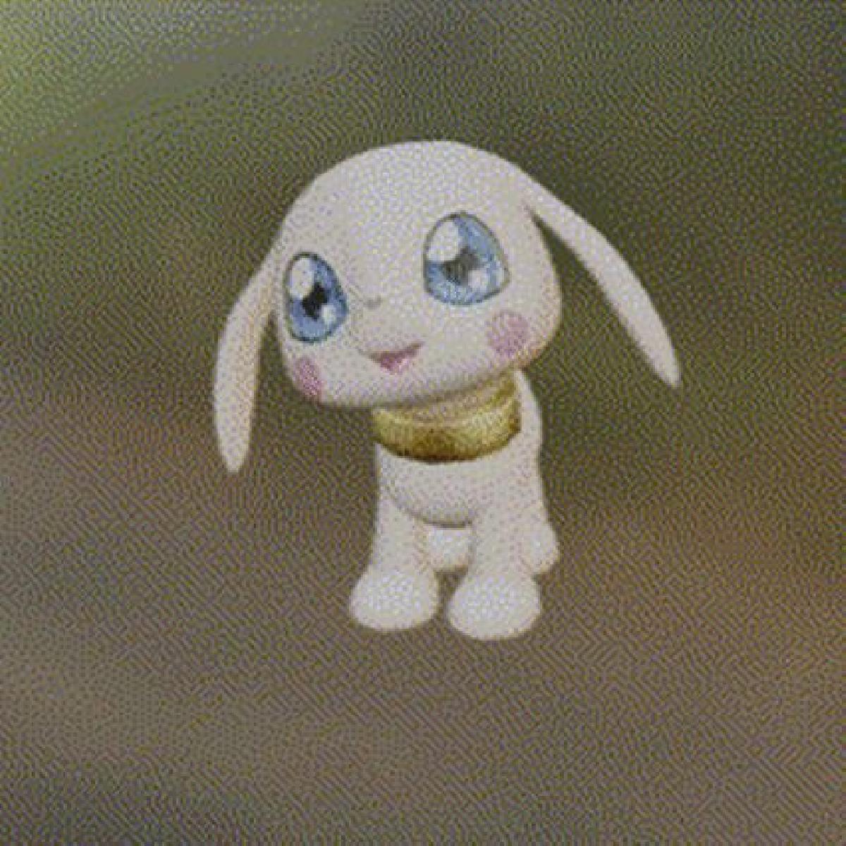 Salamon   cachorro fofo