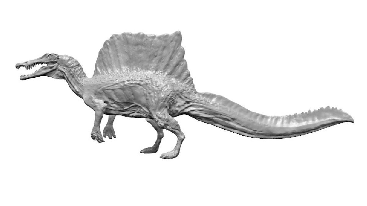 Spinosaurus 2020