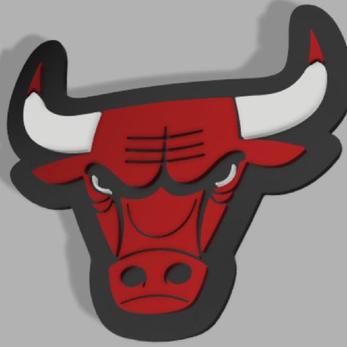 Bulls de Chicago