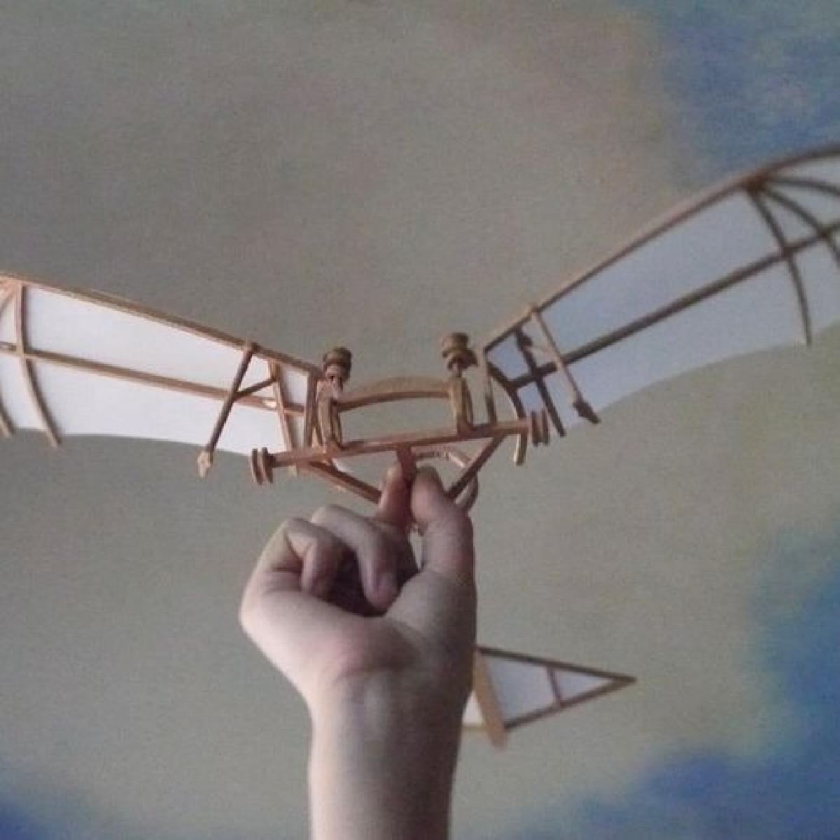 Leonardo Da Vinci   Ornithoptero