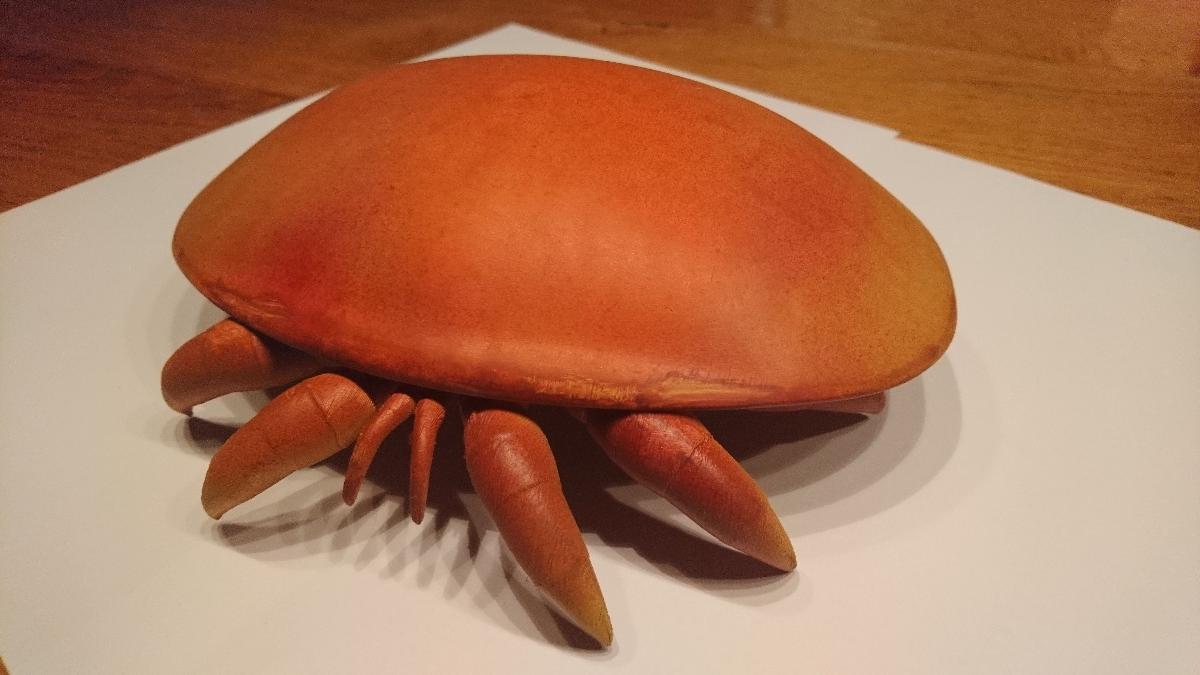 Varroa destructor
