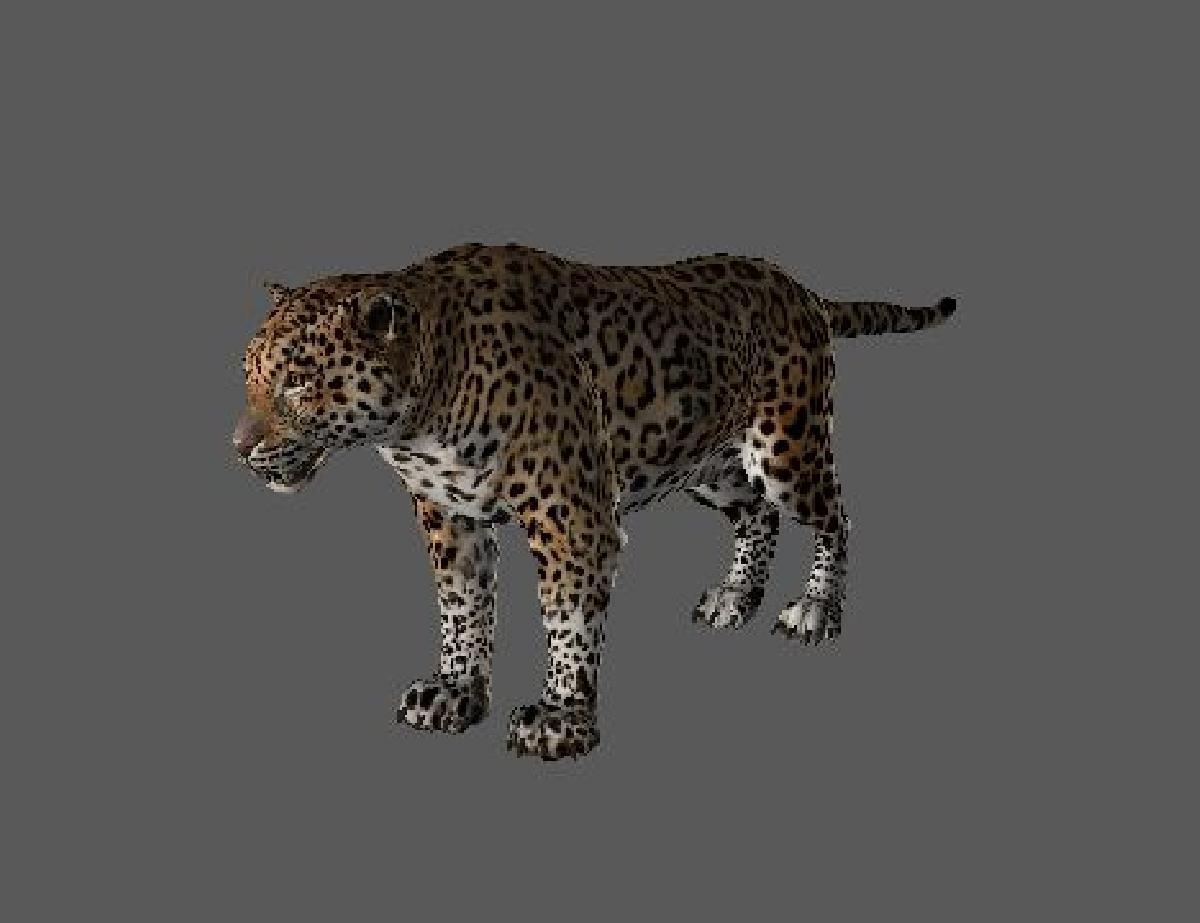 Inferno Verde   Jaguar
