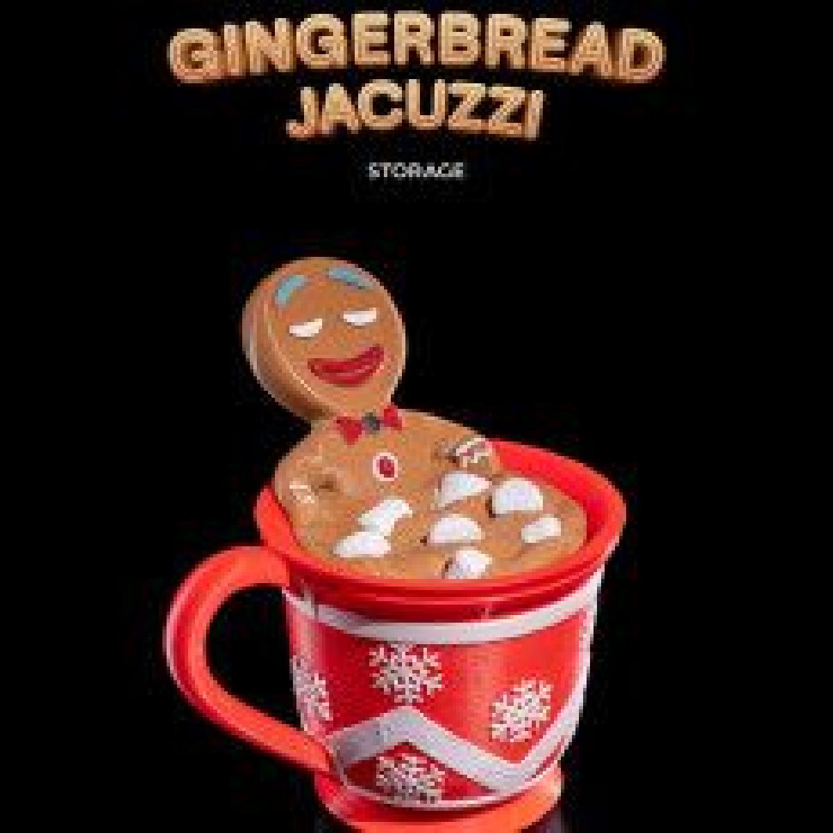 Armazenamento de Jacuzzi de Gengibre