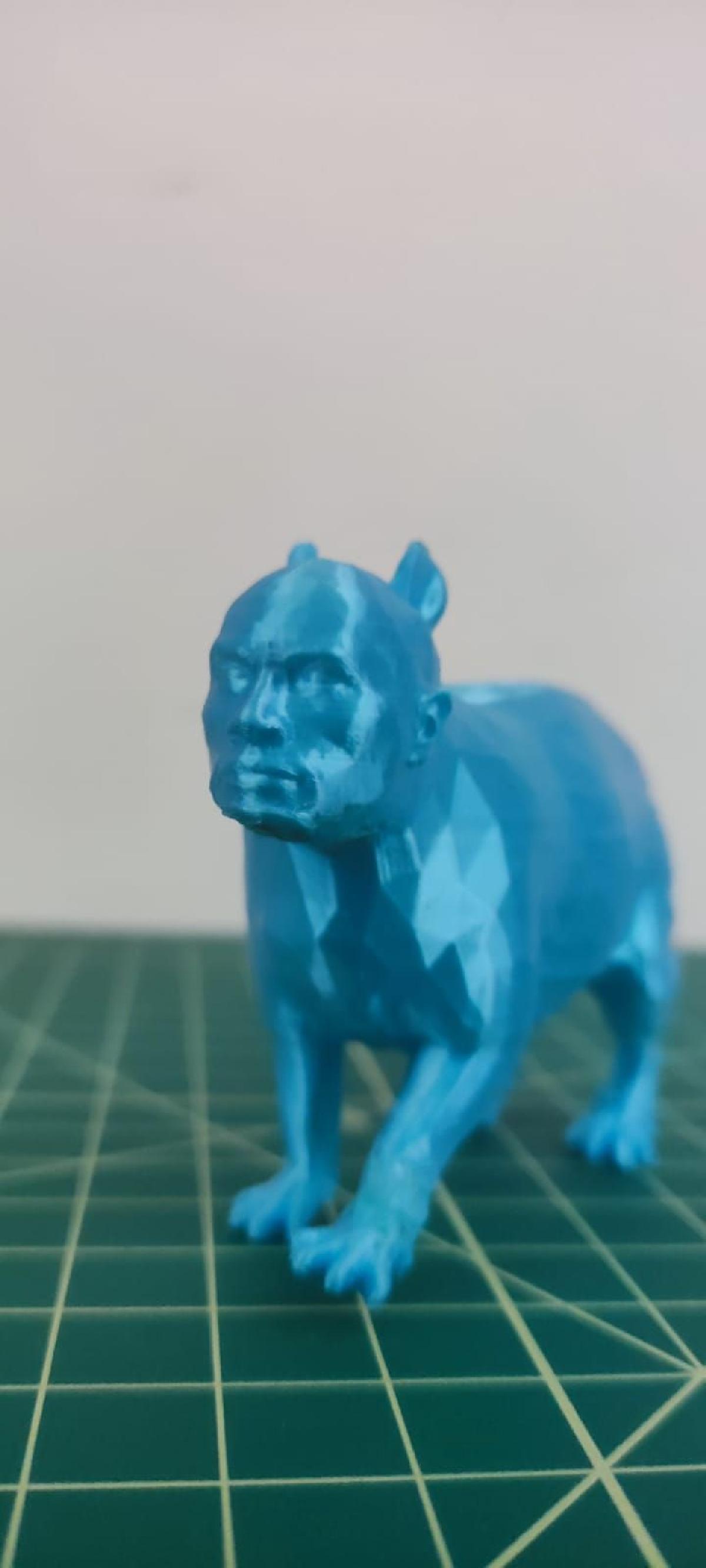 Capivara A Rocha